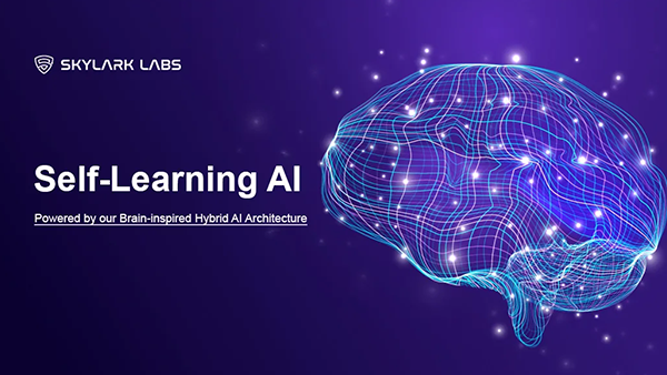 Brain's Blueprint Reimagined: Skylark's Hybrid AI ...